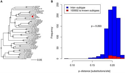 A novel candidate hepatitis C virus genotype 4 subtype identified by next generation sequencing full-genome characterization in a patient from Saudi Arabia